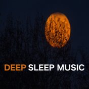 Deep Sleep Music