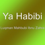 Luqman Mahbubi Ibnu Zahra