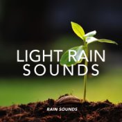 Light Rain Sounds