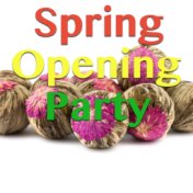 Spring Opening Party