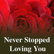Never Stopped Loving You
