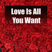 Love Is All You Want