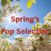 Spring's Pop Selection