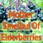 Mother Smelled Of Elderberries