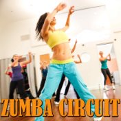 Zumba Circuit