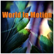 World In Motion