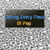 Loving Every Piece Of Pop