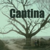 Cantina