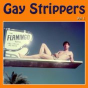 Gay Strippers, Vol. 1