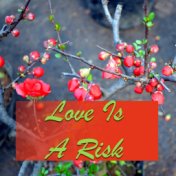 Love Is A Risk