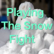 Playing The Snow Fight