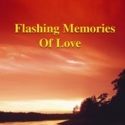 Flashing Memories Of Love