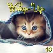 Wrap-Up, Vol.10