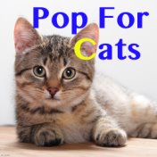 Pop For Cats