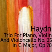 Haydn Trio For Piano, Violin and Violoncello No. 25 in G Major, Op 70