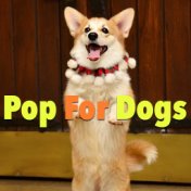 Pop For Dogs