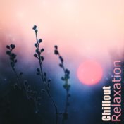 Chillout Relaxation (30 Tracks of Soothing Ambient , Meditation, Sleep & Wellness)