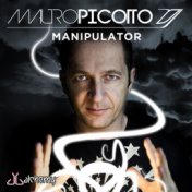 Manipulator