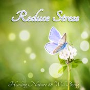 Reduce Stress - Ultimate Yoga & Meditation Album, Healing Nature, Ocean Waves, Sounds of Nature, White Noise, Bird Sounds, Rain ...