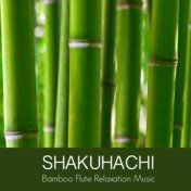 Shakuhachi Bamboo Flute Relaxation Music - Oriental Japanese Music for Zen Buddhist Meditation