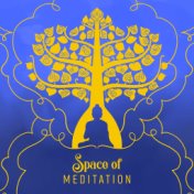 Space of Meditation: Calm, Soothing and Delicate Music for Meditation