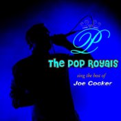Sing The Hits Of Joe Cocker (Original)