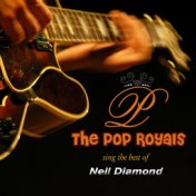 Sing The Hits Of Neil Diamond (Original)