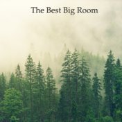 The Best Big Room Pt.009