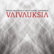 Vaivauksia