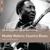 Rough Guide To Muddy Waters: Country Blues