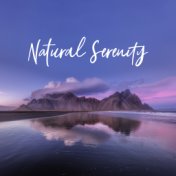 Natural Serenity: Soothing Sounds of Nature, Ambient Music, Melodies Spa, Pleasant and Relaxing Sounds, Anti-stress Therapy