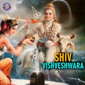 Shiv Vishveshwara