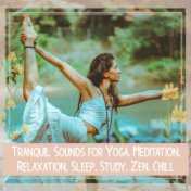 Tranquil Sounds For Yoga, Meditation, Relaxation, Sleep, Study, Zen, Chill