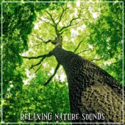 Relaxing Nature Sounds