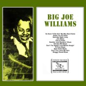 Big Joe Williams