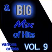 A Big Mix of Hits, Vol. 9