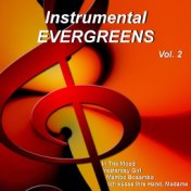 Instrumental Evergreens Vol. 2