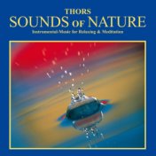 Sounds Of Nature : Instrumental Music For Relaxation