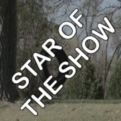 Star Of The Show - Tribute to Thomas Rhett