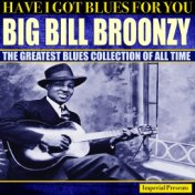 Big Bill Broonzy (Have I Got Blues Got You)