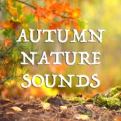 Autumn Nature Sounds