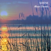 #22 Serene Music Sounds for Relaxing at the Spa