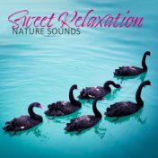 Sweet Relaxation Nature Sounds: 2019 Piano Music with Nature Background Composed for Total Relax, Rest, Calm Down, Sleep and Hea...
