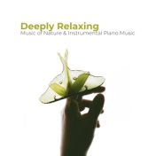 Deeply Relaxing Music of Nature & Instrumental Piano Music
