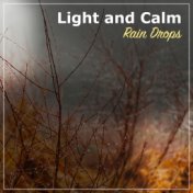 #19 Light and Calm Rain Drops for Yoga or Spa