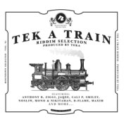 Tek a Train Riddim Selection