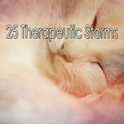 25 Therapeutic Storms