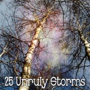 25 Unruly Storms