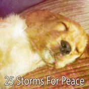 25 Storms For Peace