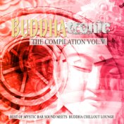 Buddhatronic - the Compilation, Vol. V (Best of Mystic Bar Sound Meets Buddha Chill out Lounge)